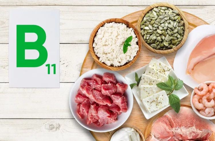 Vitamin B11(L-carnitine)