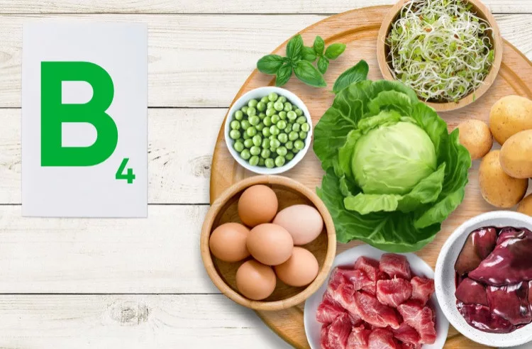 Vitamin B4 (Choline)