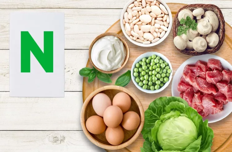 Vitamin N (Alpha Lipoic Acid)